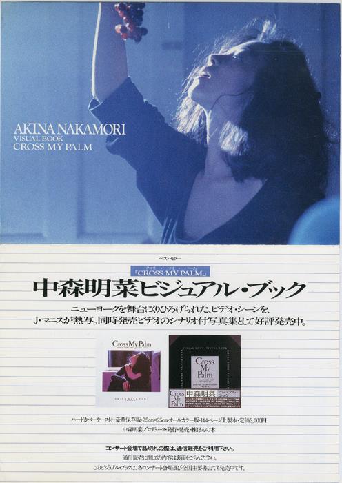 中森明菜ビジュアル・ブック チラシ