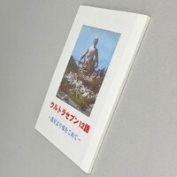 しらたまこ(しらたま) 星空鉄道とシロの旅 ノワール抱き枕カバー