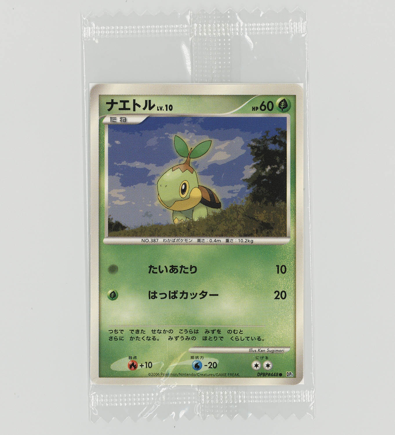 5029] ポケモンカード(Dpシリーズ) ナエトル(ミニサイズ)