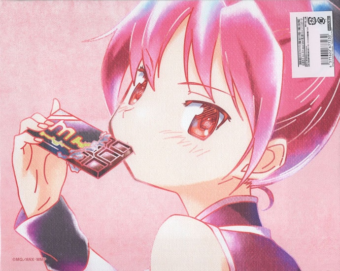 劇場版 魔法少女まどか☆マギカ」カラー複製イラスト 佐倉杏子