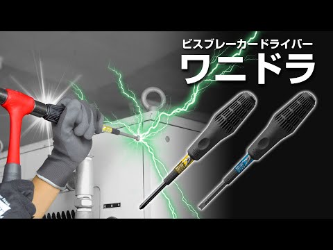 限定品】ワニドラセット 限定カラー | ANEXブランドのドライバー・工具