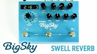 STRYMON ( ストライモン ) BigSky リバーブ 送料無料 | サウンドハウス
