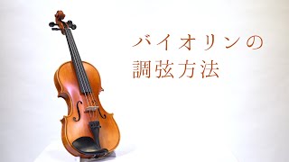 PLAYTECH ( プレイテック ) PSV100BR エレクトリックバイオリン 4/4