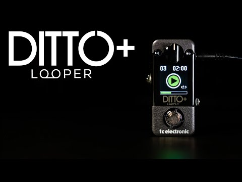 TC Electronic Ditto+ Looper Pedal | Sweetwater