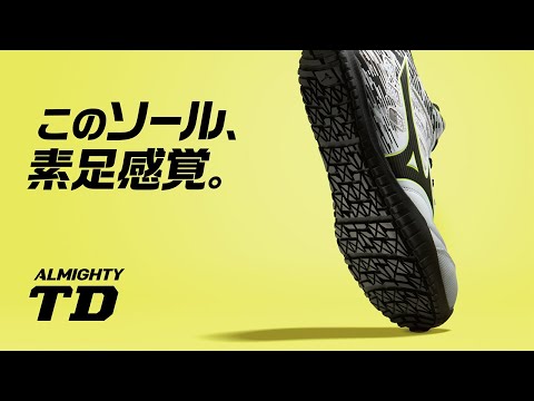24.5cm 靴幅：3E メンズ 安全靴 MIZUNO WORKING オールマイティ TD11L