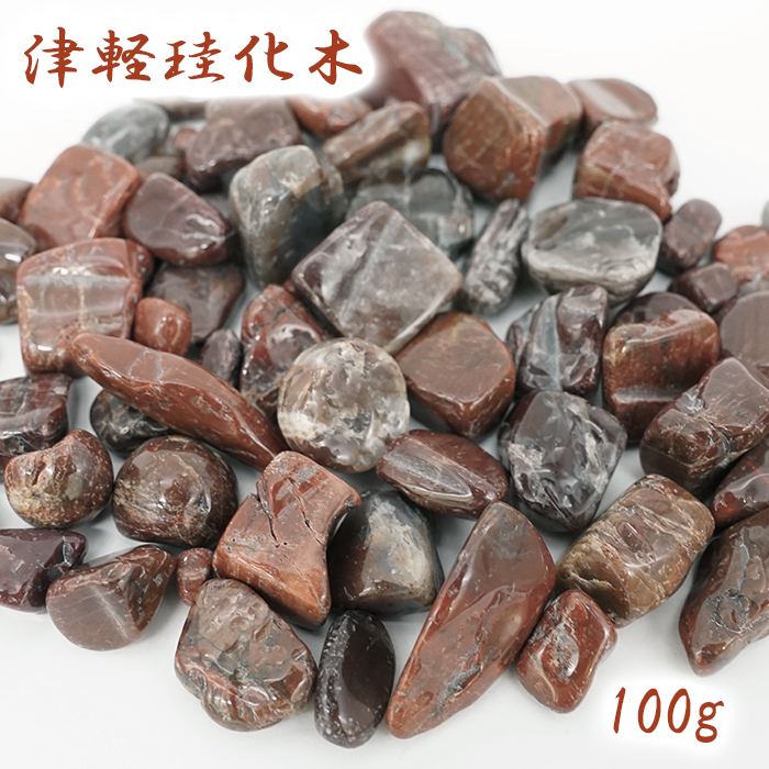 さざれ 100g 津軽珪化木 日本銘石 青森県産 TSUGARU Petrified Wood