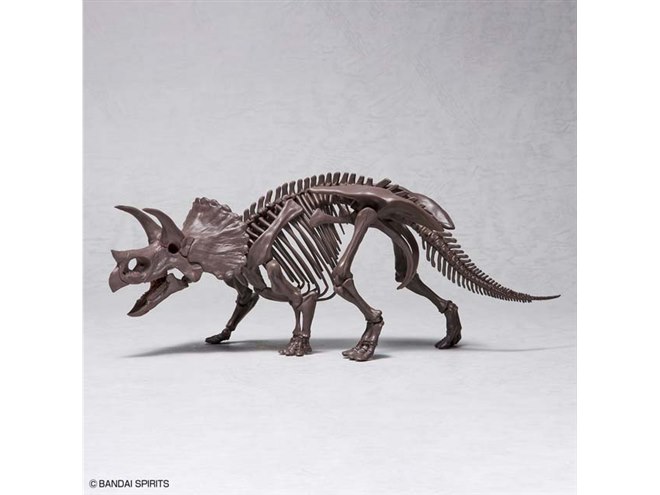 バンダイ、正統派骨格モデル「1/32 Imaginary Skeleton トリケラトプス