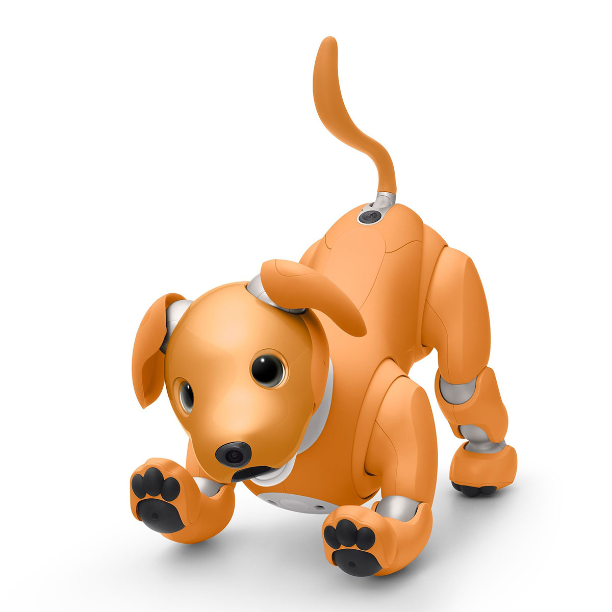 aibo sony」の人気商品一覧 | 安い商品を通販サイトから探す - 価格.com