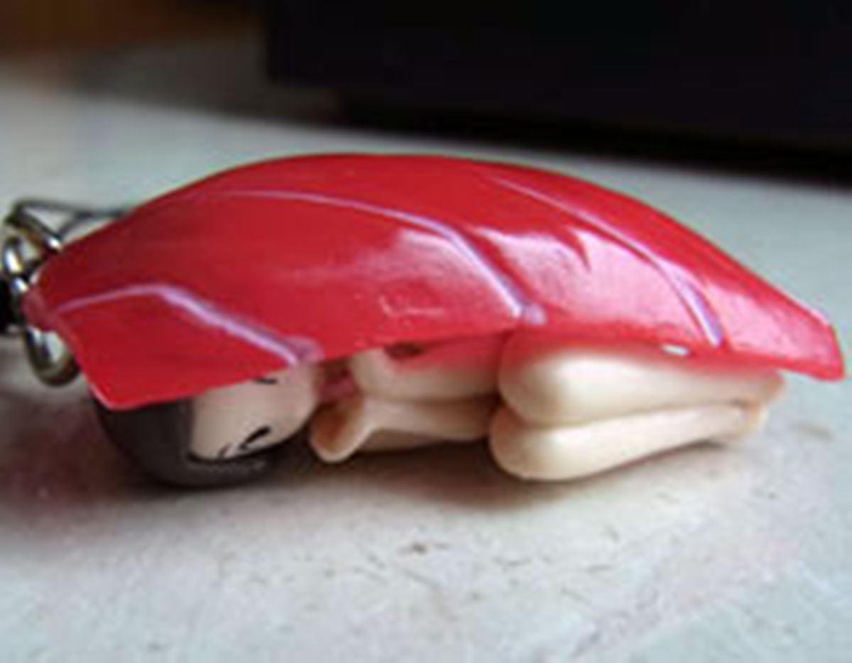 妄想大好きおねえさんの頭の中はお寿司のことでいっぱい♪ - 価格.com