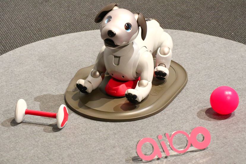 aibo（アイボ）」が帰ってきた！ 愛くるしい表情と滑らかな動きを動画