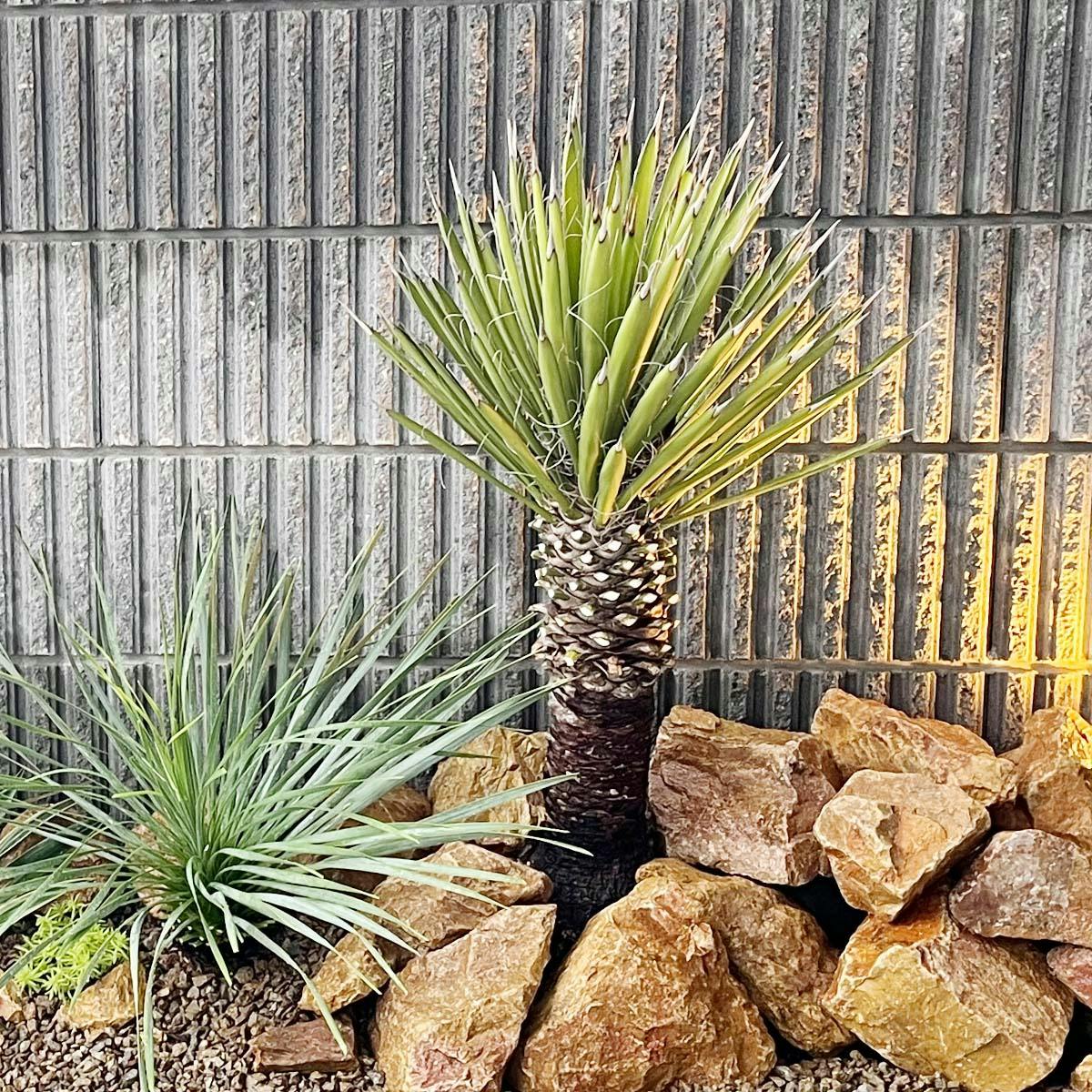 庭石 【ロックガーデン】 石 割栗石 【イエロー L 220kg (22kgx10箱