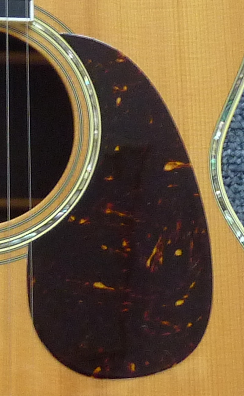 Cat's Eyes/CE-2000S ￥SOLD | アコースティックプラザ井上楽器