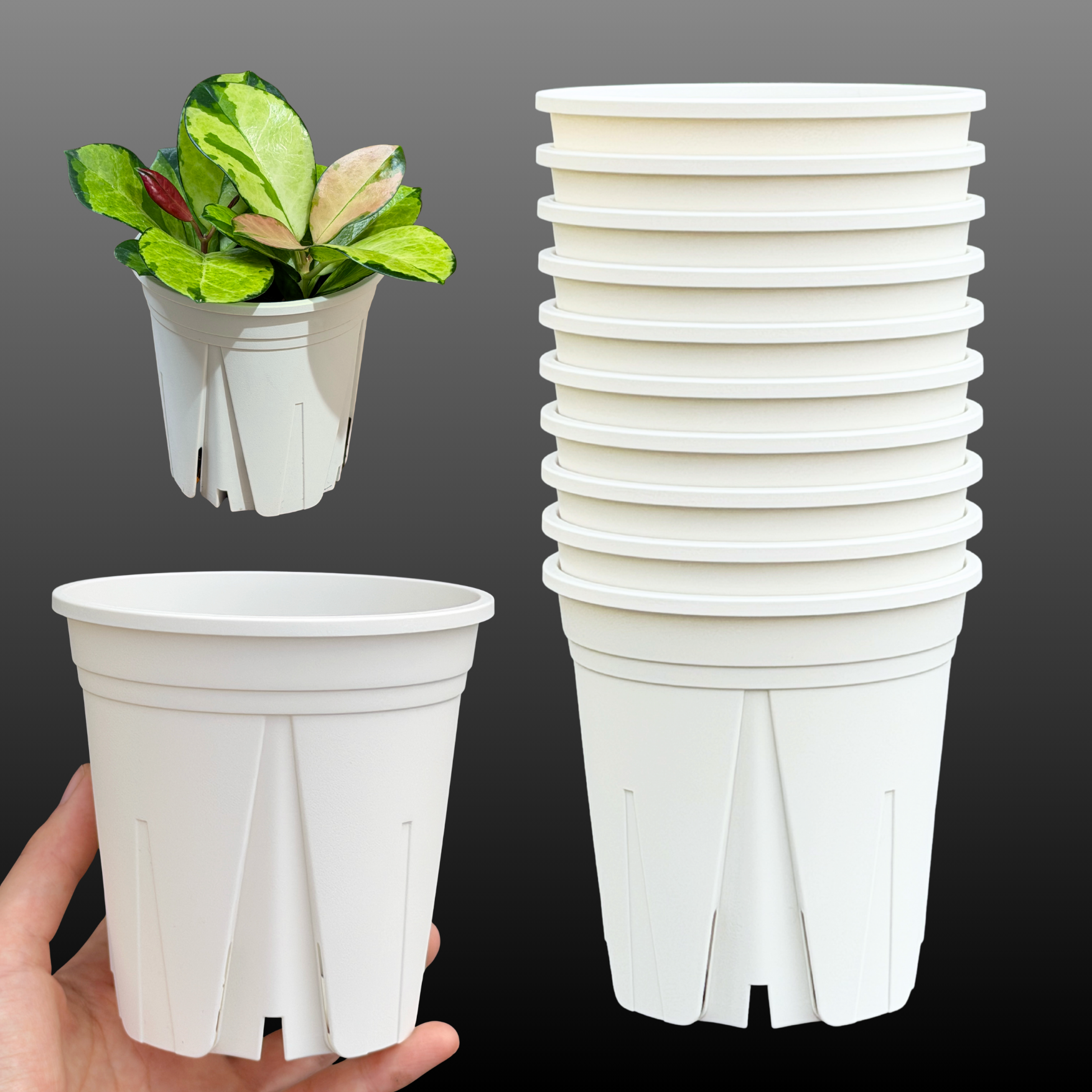 スリット鉢 3.5号 10個 すくすくいい根ポット ブラック ホワイト 日本