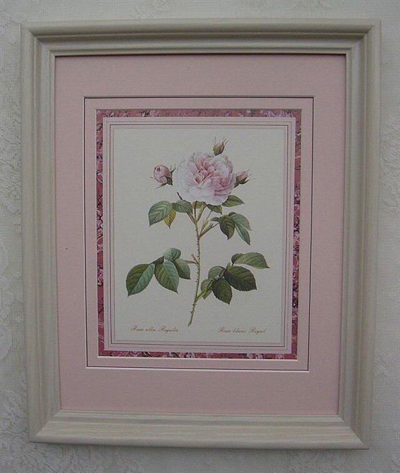 ルドゥテのバラ（ルドゥーテローズ）のフレーム額絵（ピンクマット