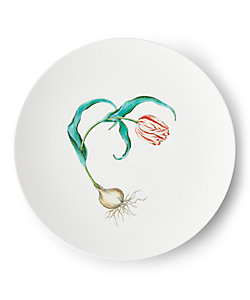 畑萬陶苑 | ホーム・キッチン＆アート | 三越伊勢丹オンラインストア