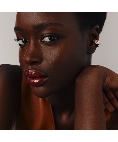 Hermès（Hermès） ルージュ エルメス ルージュ ブリヤン シルキー 85