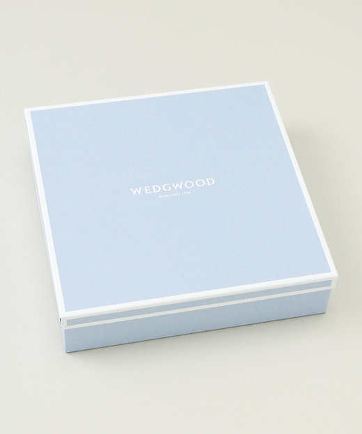 ストロベリー ブルーム インディゴ ソイディッシュ 5枚セット