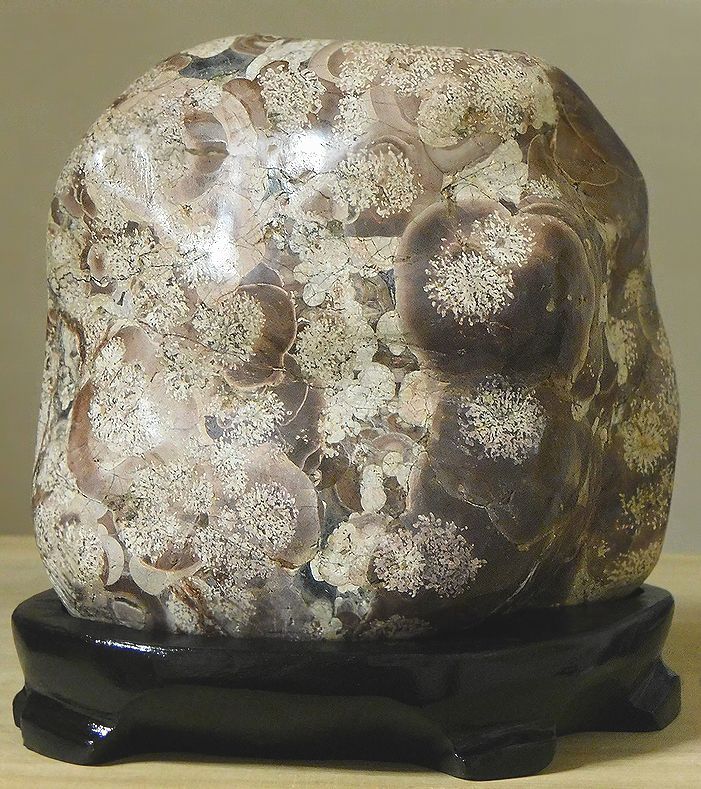 緋山酔恭「山水石美術館」 白山紋石、瀬戸瀬の菊紋石、岩崎花紋石、菊寿石