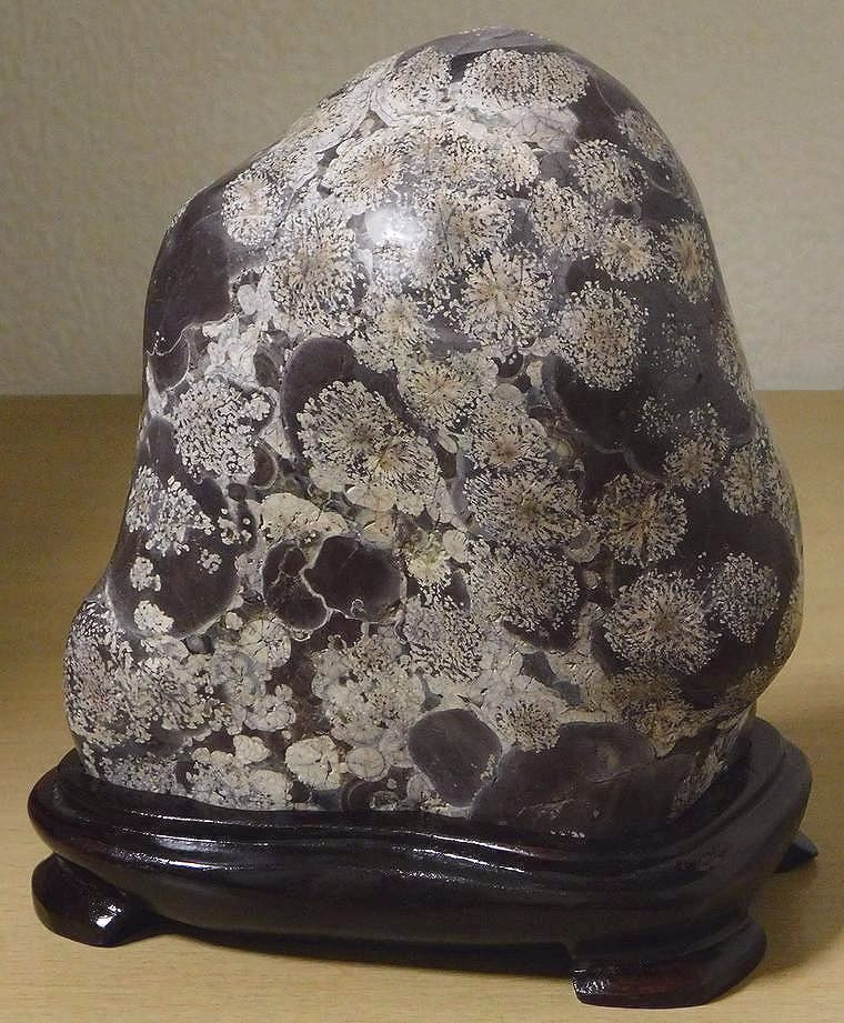 緋山酔恭「山水石美術館」 白山紋石、瀬戸瀬の菊紋石、岩崎花紋石、菊寿石