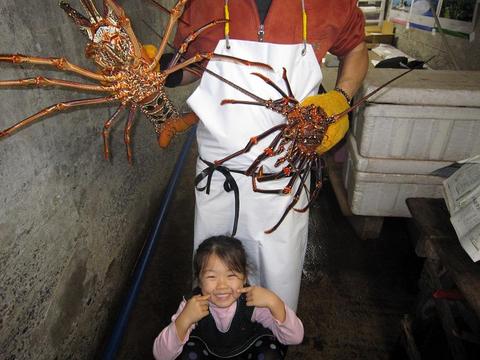 伊勢海老のOn the ocean – いすみ情報局なびっぺ | いすみ市商工会