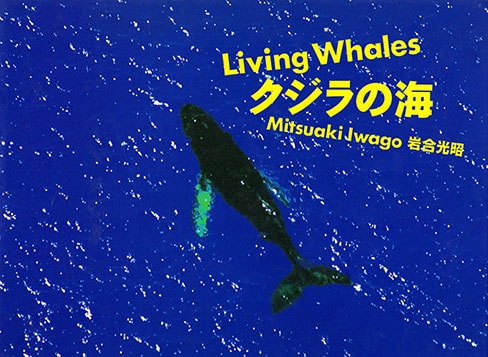 動物写真家 岩合光昭 オフィシャルサイト | 写真集「クジラの海」撮影