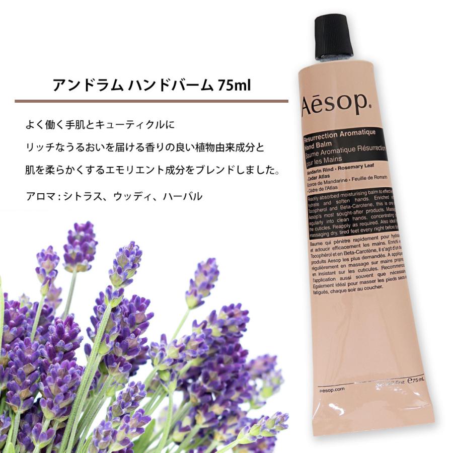 Aesop（イソップ） 紙袋付 ギフト ハンドソープ＆ハンドクリーム 2点
