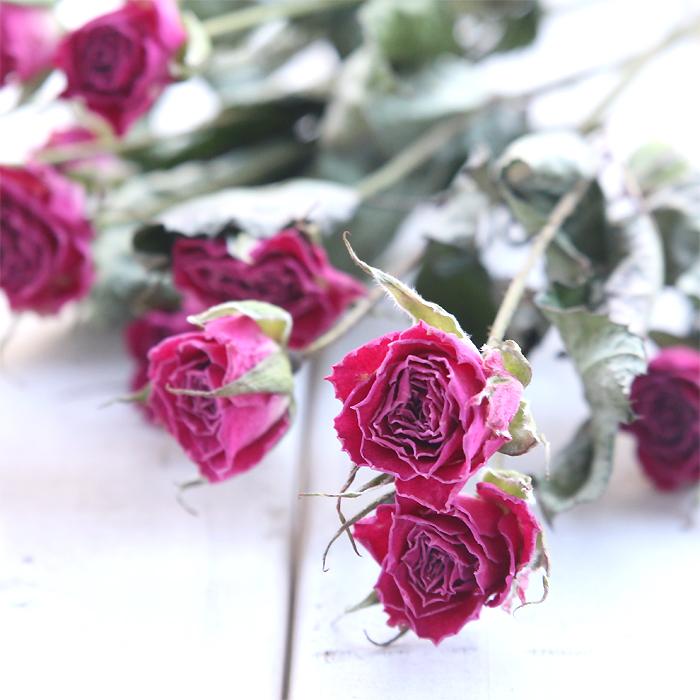 スプレーバラ ピンク系 【長さ約30cm・枝3本】 ドライフラワー 送料