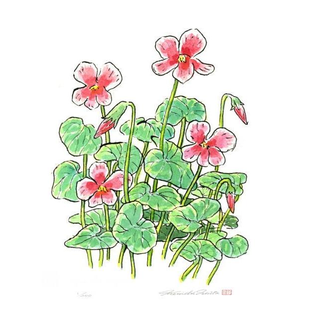 シクラメン 絵画 花 静物画 版画 ジークレー 内藤謙一 「スタイル・2