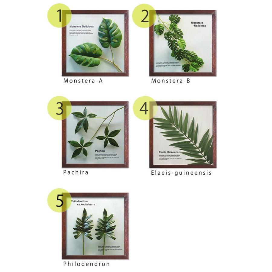 リーフパネル「並べて飾るとオシャレです」選べる3点 お得なまとめ買い