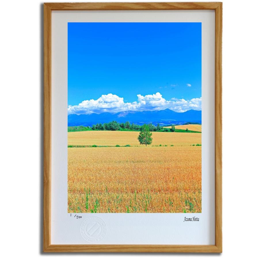 版画 絵画 北海道の田園風景001 美瑛 堀田東 壁掛け 壁飾り インテリア