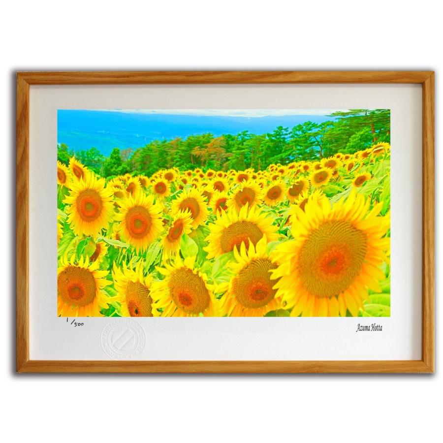 版画 絵画 ひまわりのある風景004 山梨・北杜市 堀田東 壁掛け 壁飾り