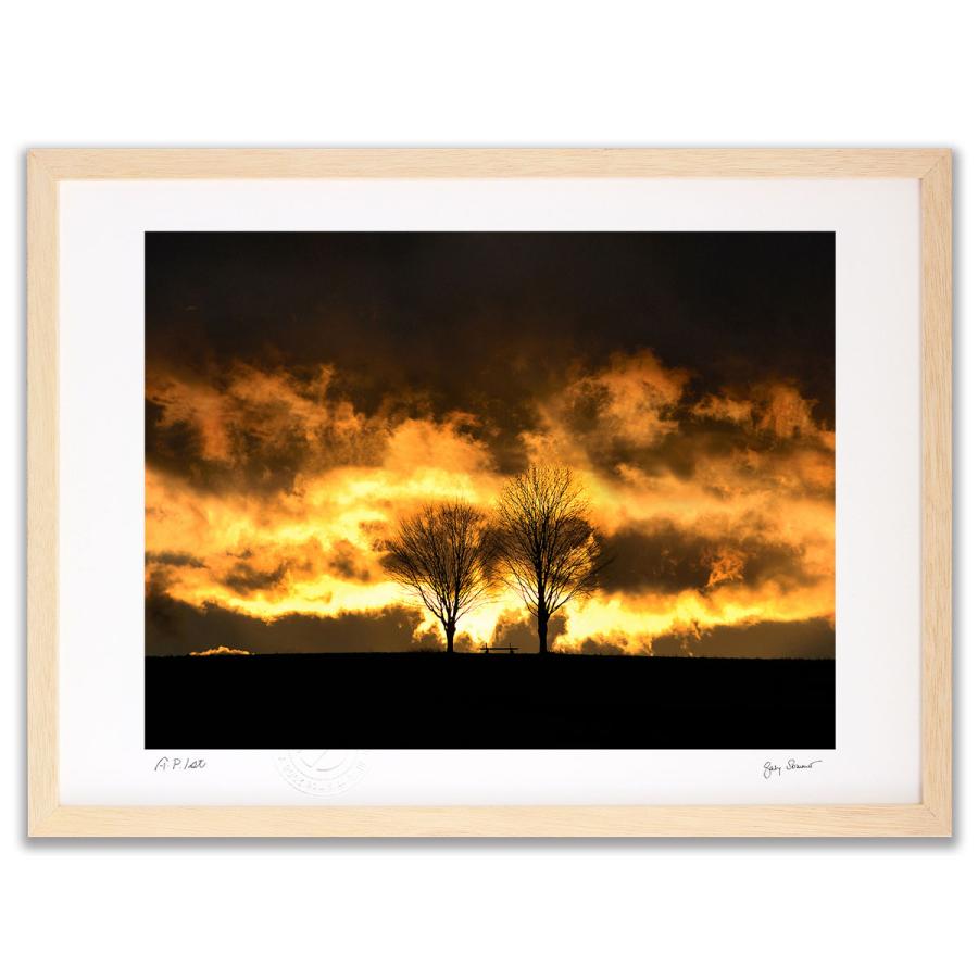 アートフォト 絵画 壁掛け 太陽の火(Sunfire） ガビー・ゾマー 壁飾り