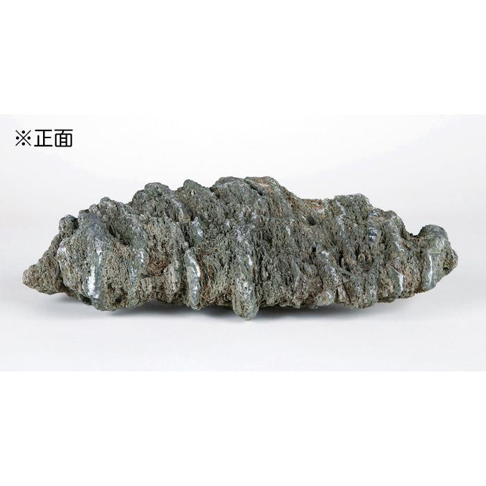 水石 「千仏石」 盆石 天然石 すいせき 台座付き 現品限り : 盆栽彩都