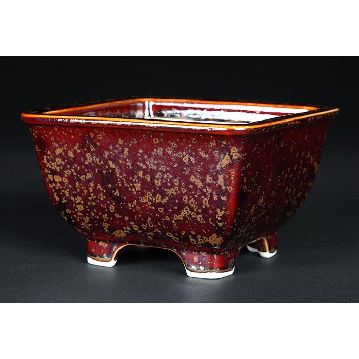 盆栽鉢 植木鉢 「平安泉山辰砂釉星結晶正方鉢」 山草鉢 清水焼 京焼