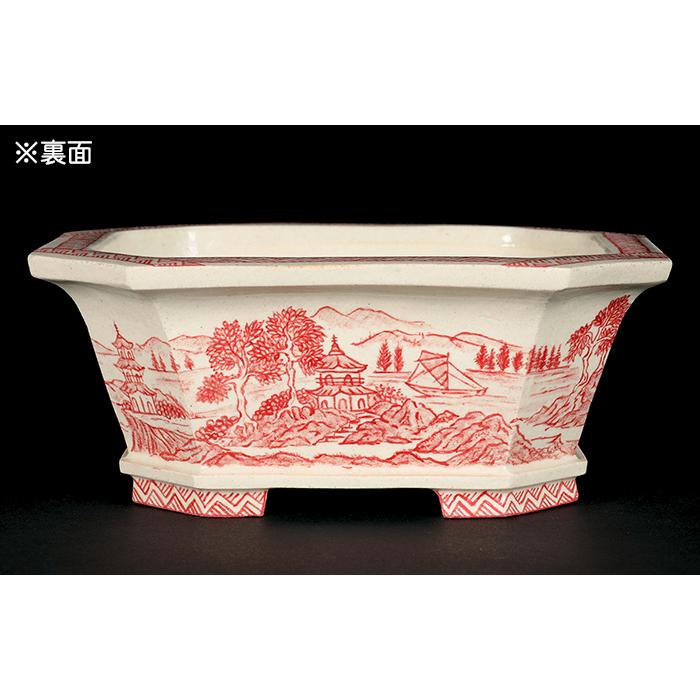 盆栽鉢 「高山赤絵山水図長方鉢」 植木鉢 絵付鉢 作家鉢 磁器 5号 15cm