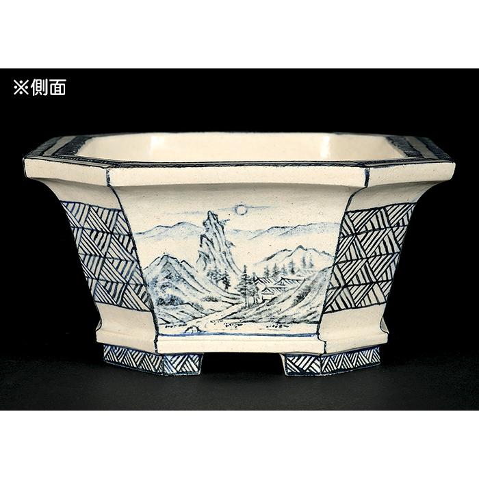 盆栽鉢 「高山染付山水図長方鉢」 植木鉢 絵付鉢 作家鉢 磁器 呉須 5号