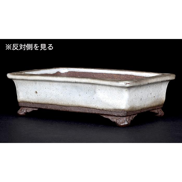 盆栽鉢 「東福寺白釉雲足長方鉢」 植木鉢 初代 平安東福寺 作家鉢 色鉢