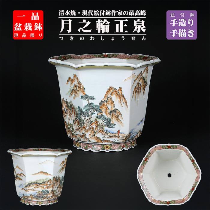 盆栽鉢 月之輪正泉五彩訪友図輪花縁六角鉢 絵付鉢 色絵 京焼 清水焼 8