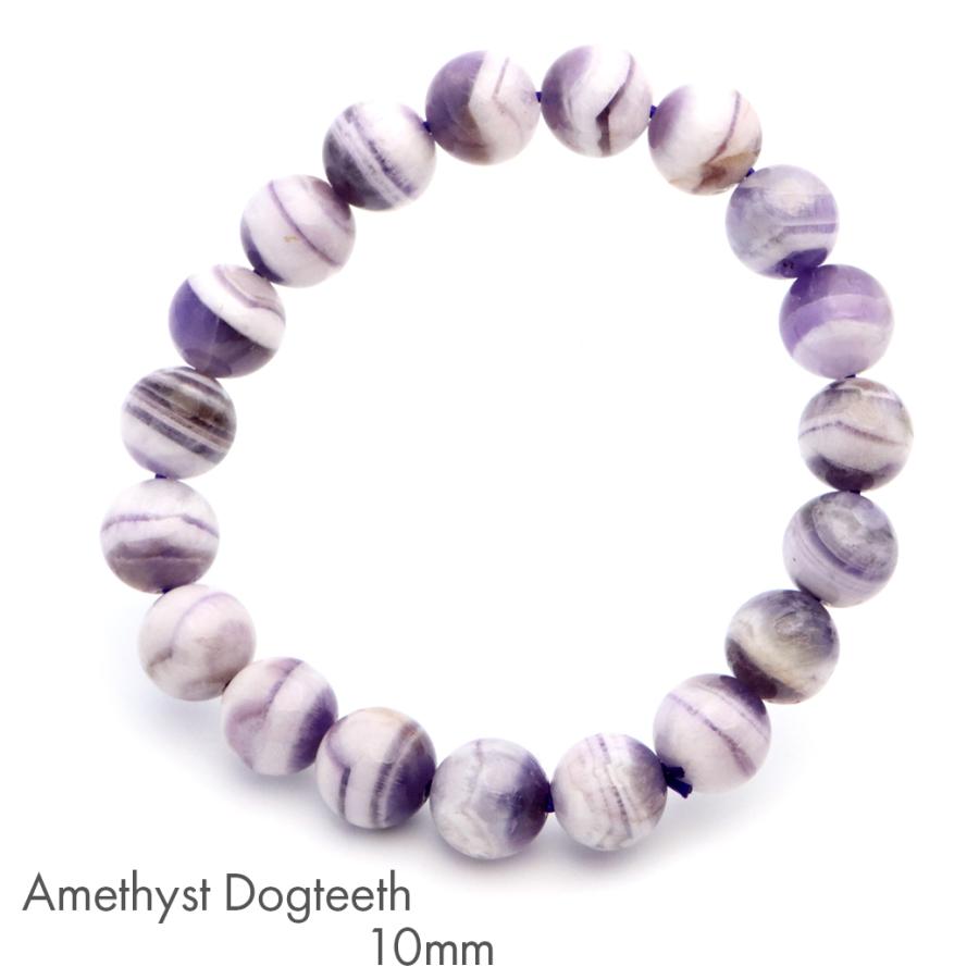 GOLD STONE ドックティース アメジスト ブレスレット 10mm 天然石