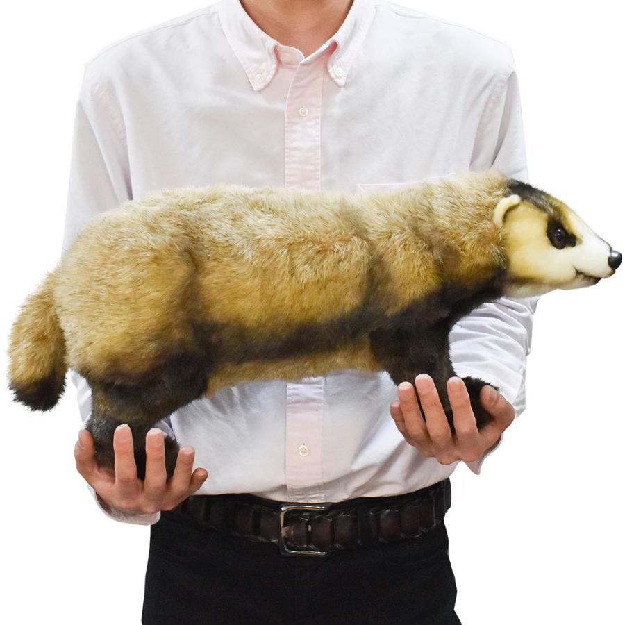 HANSA BH8148 ニホンアナグマ あなぐま くま 穴熊 ぬいぐるみ リアル