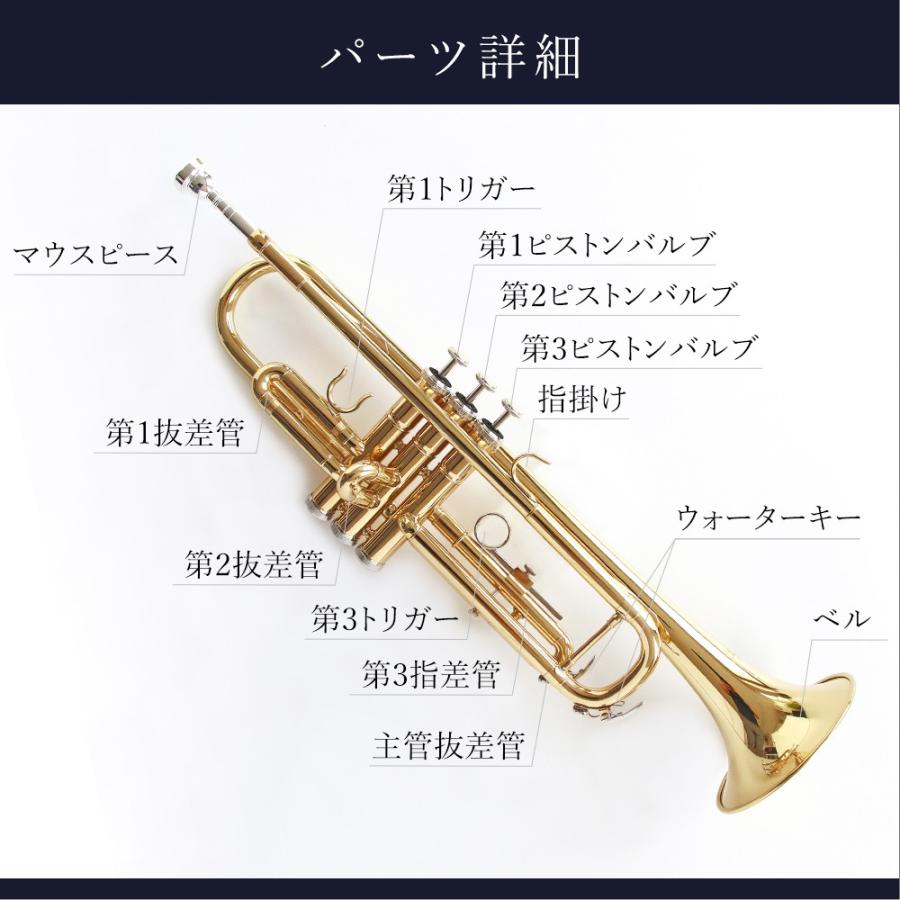 初心者セット 初心者入門 トランペット 5点セット Bb B フラット黄銅製