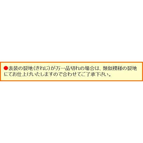 掛け軸 達磨 (清水雲峰) 掛軸 : 掛け軸・絵画の専門店 掛軸堂画廊