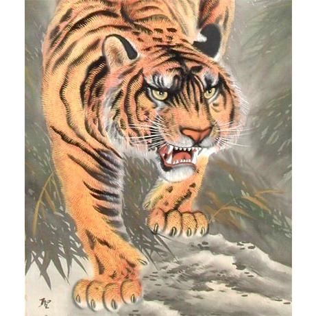 掛け軸 猛虎之図 (葛谷聖山) （掛軸小物なし) 【掛軸】 : 掛け軸・絵画