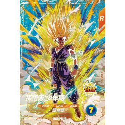 ドラゴンボールスーパーダイバーズ SDV5-076 GDR 孫悟飯：少年期 【5弾