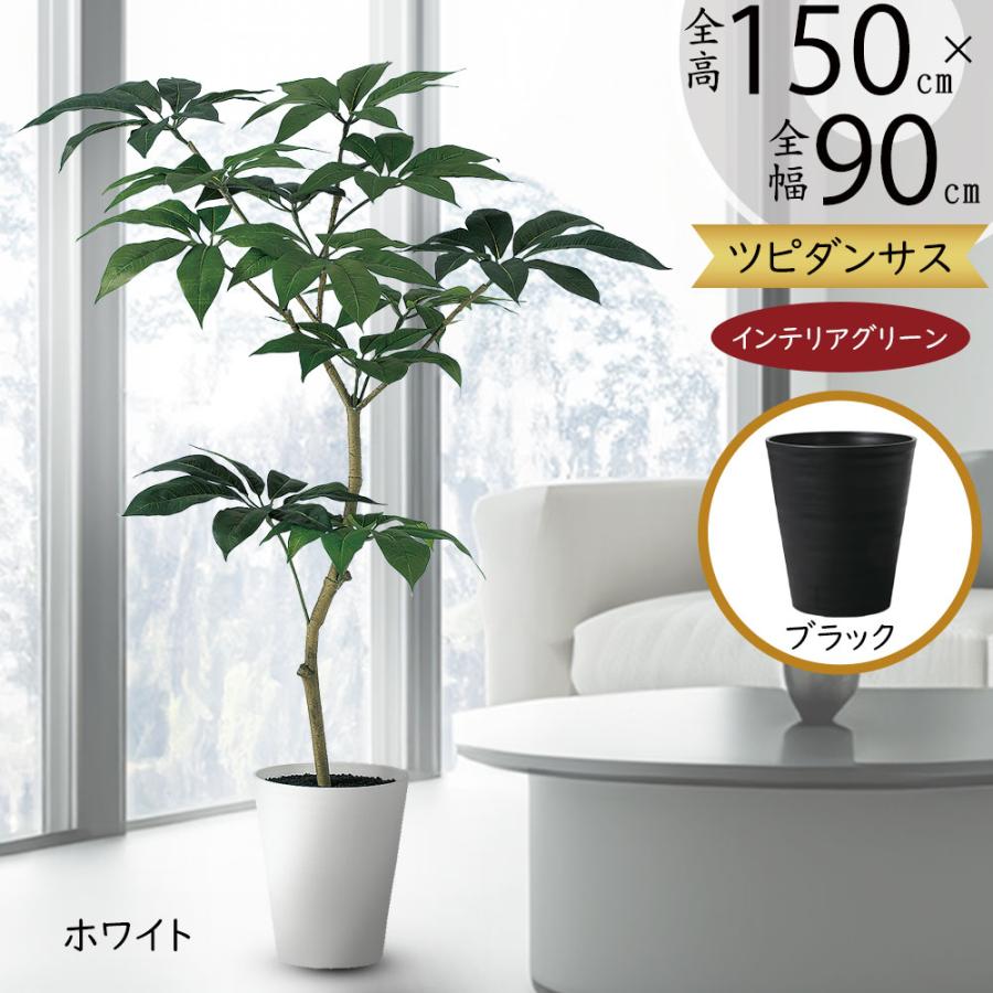 観葉植物 ツピダンサス おしゃれ インテリアグリーン 人工観葉植物