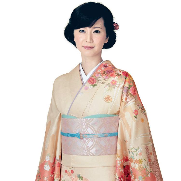 H.L（アッシュ・エル） 訪問着 フルセット 18点 洗える 着物 帯 長襦袢