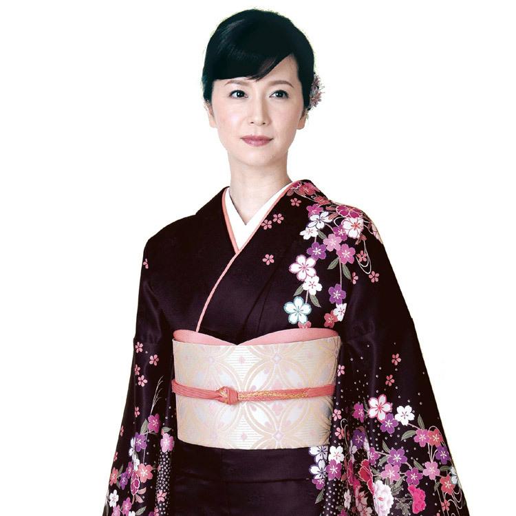 H.L（アッシュ・エル） 訪問着 フルセット 18点 洗える 着物 帯 長襦袢