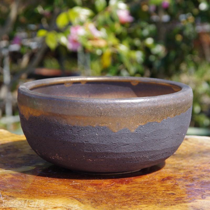 選べる 金彩中深 7号 サナサービス 信楽焼 植木鉢 陶器 【山野草鉢