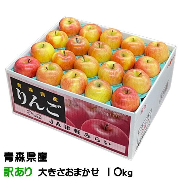 りんご こみつ 訳あり 風のいたずら 大きさおまかせ 10kg 究極の蜜入り