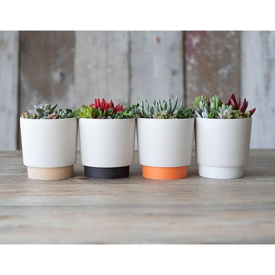 ground グラウンド プランター M 11.6cm オレンジ 3.5号ポット用 晋山